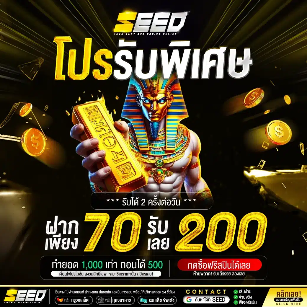 โปรรับพิเศษ by seed slot